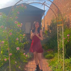 Meet your Posher, Daisy